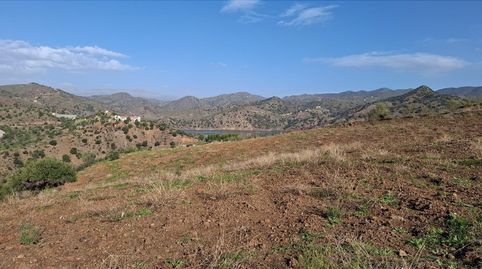 Se Vende Finca con 3 Parcelas juntas en Almogía, Málaga, imatge 2