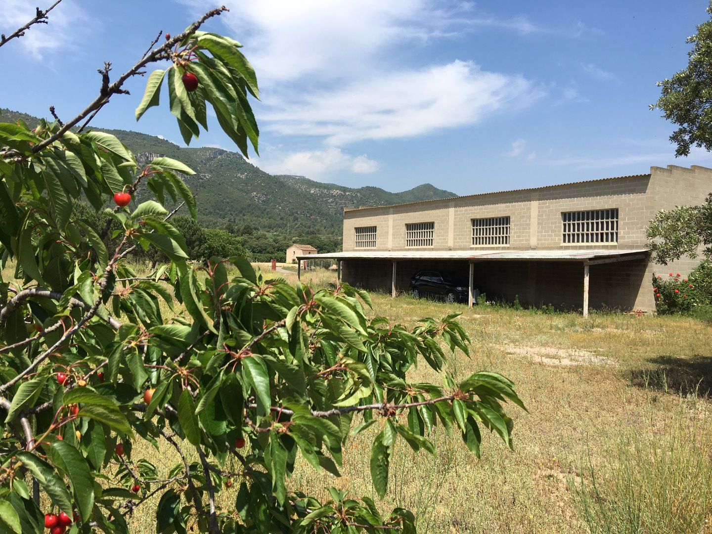 Exterior view of Country house for sale in Vilaverd  with Private garden, Terrace and Storage room