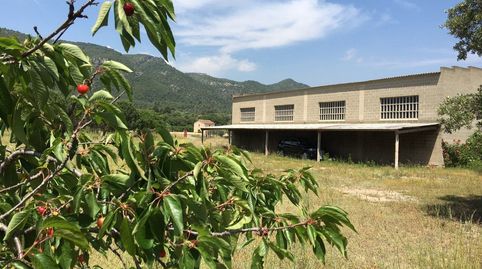 Vilaverd,gran finca rústica con casa, piscina y gran nave