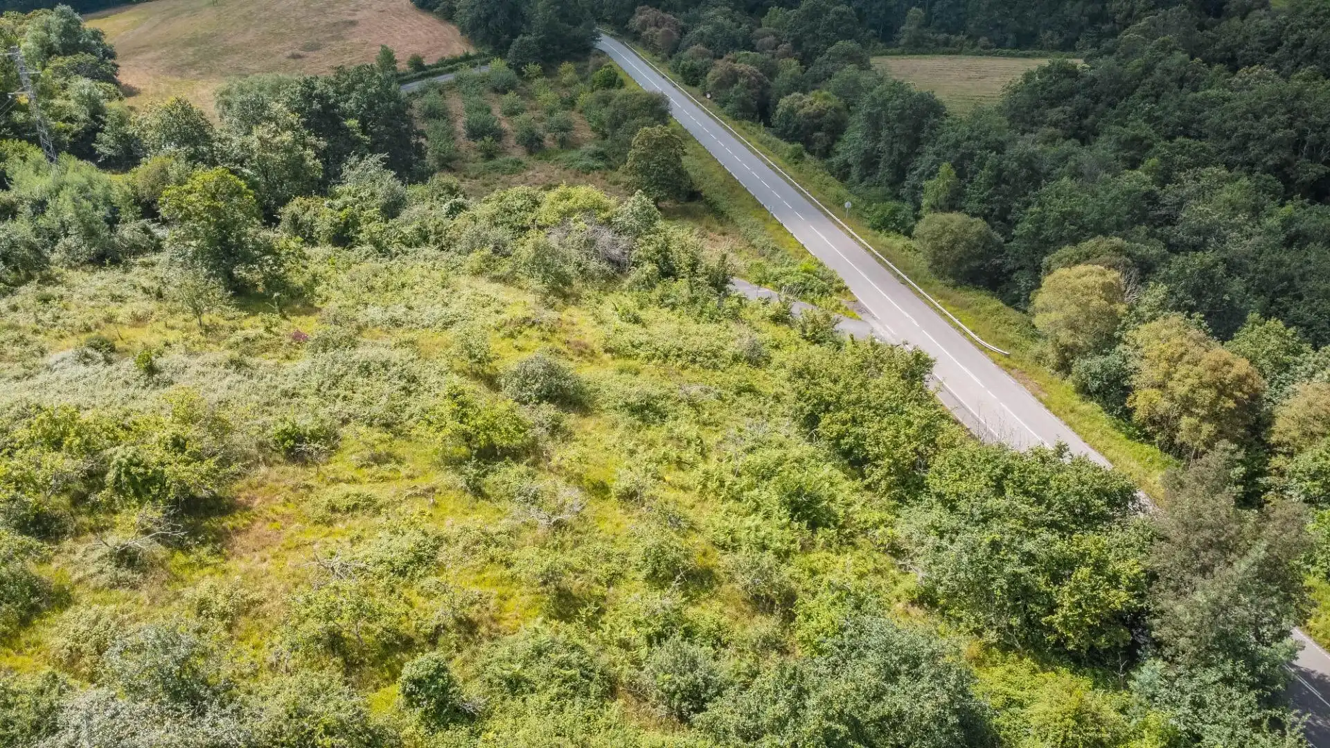 Rural land for sale in del pareo, imagen 20