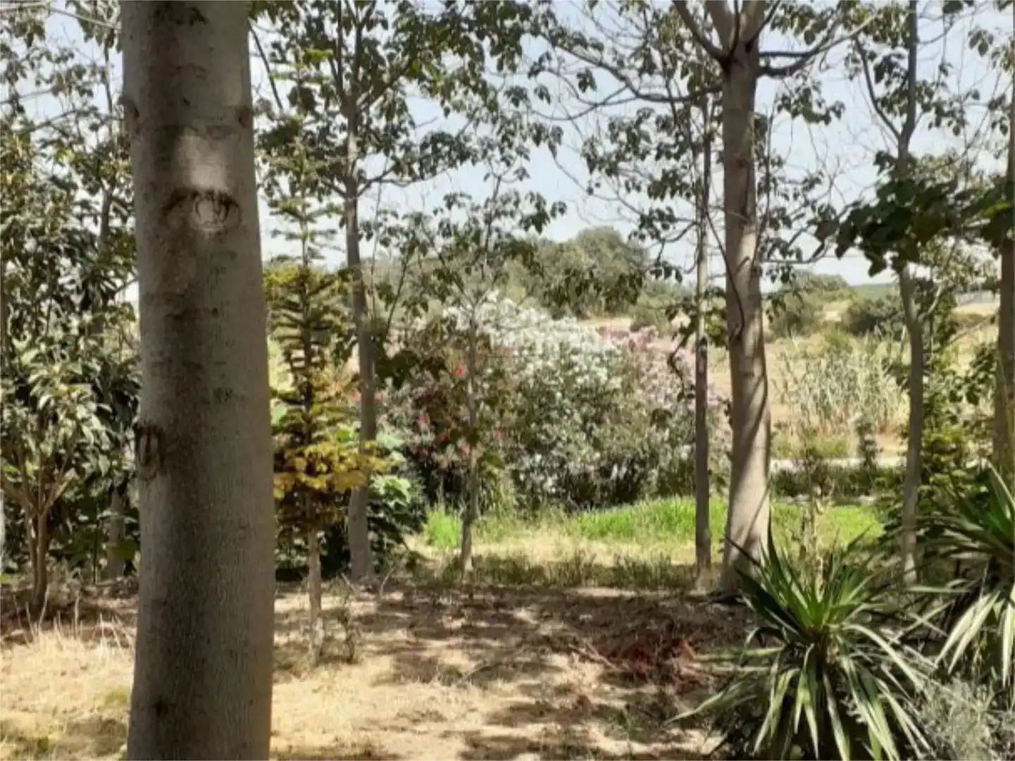 Land for sale in Alguaire, Lleida