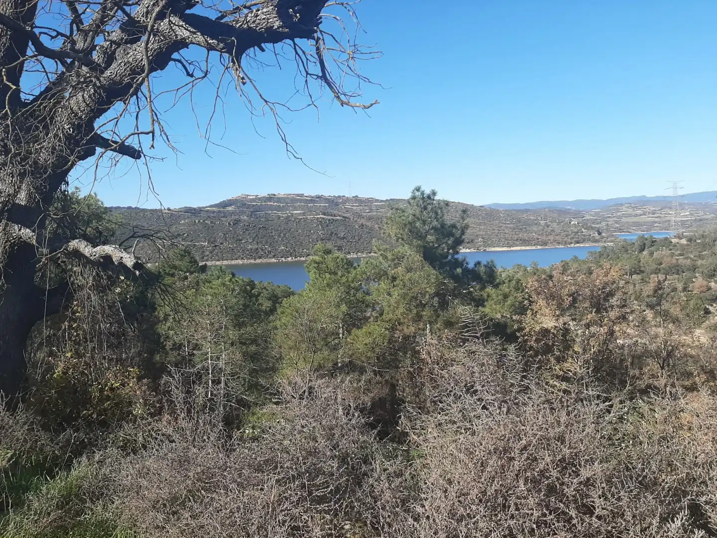 Terreny en venda en Tiurana