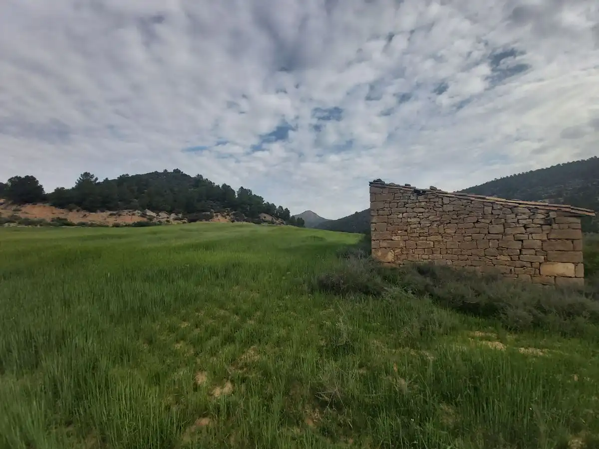Finca rústica en venta en Seròs