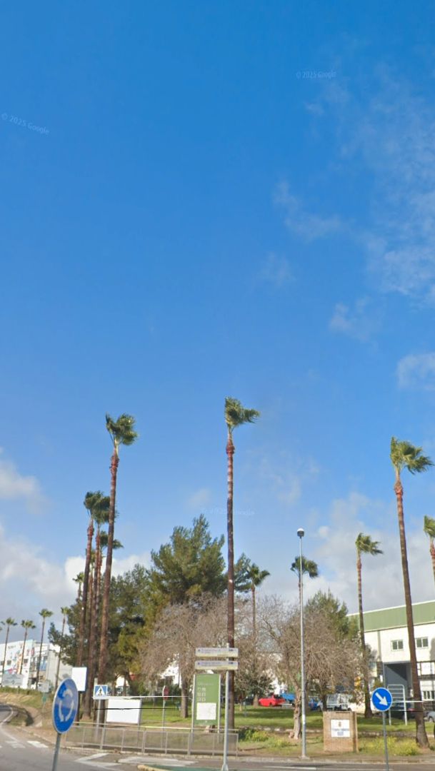 Exterior view of Industrial land for sale in Olivares