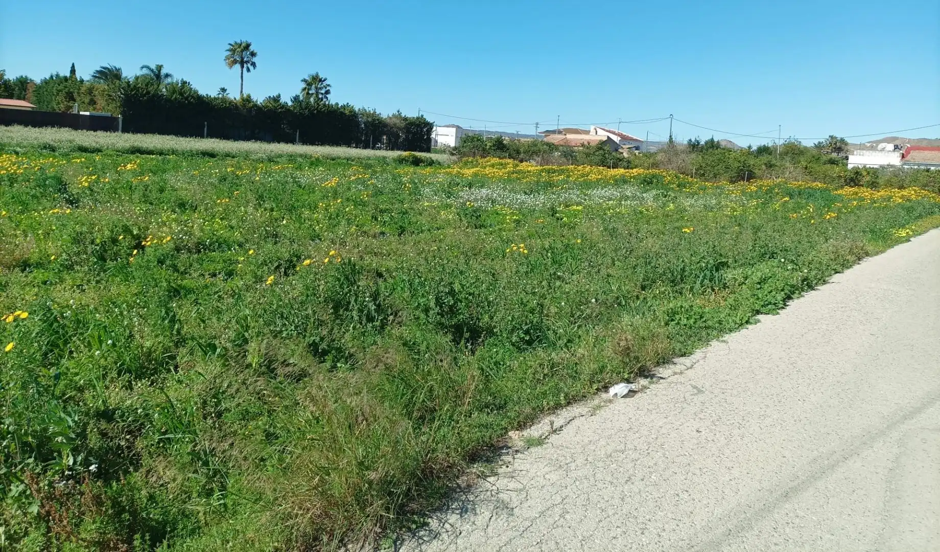 Terreni e lotti in vendita a Pedanías Este