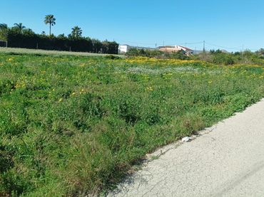 Terrains et parcelles à vendre à Pedanías Este