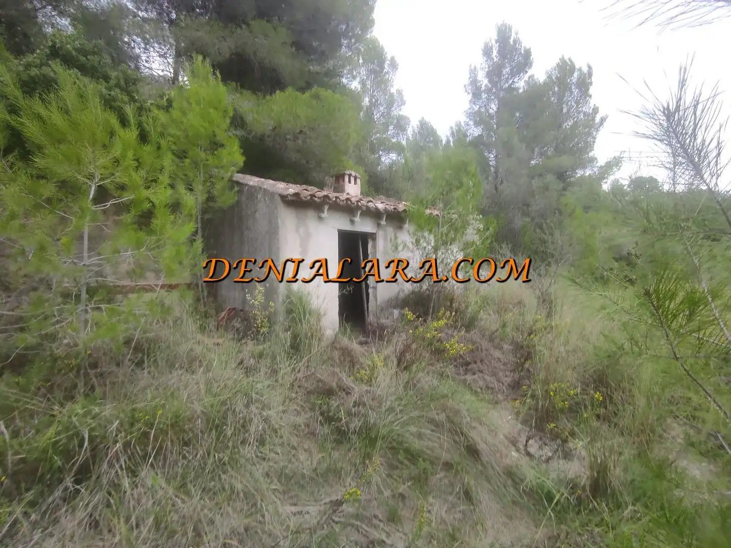 Terreno en venta en Sagra