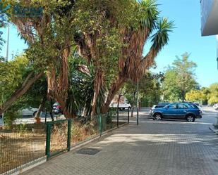 Exterior view of Flat for sale in  Sevilla Capital  with Terrace and Balcony