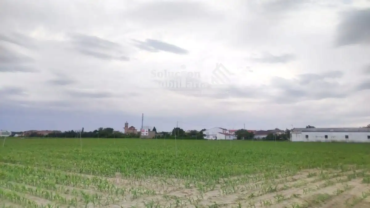Land for sale in Encinas de Abajo