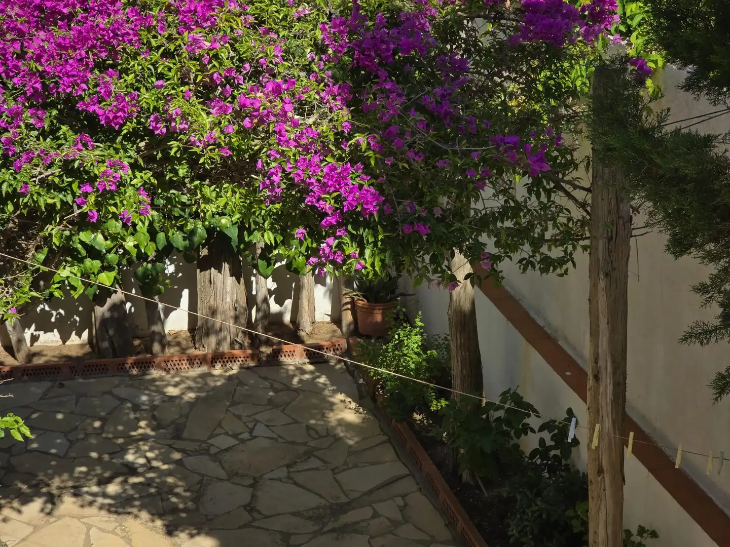 Jardín de Casa o chalet en venta en L'Estartit con Aire acondicionado, Jardín privado y Terraza