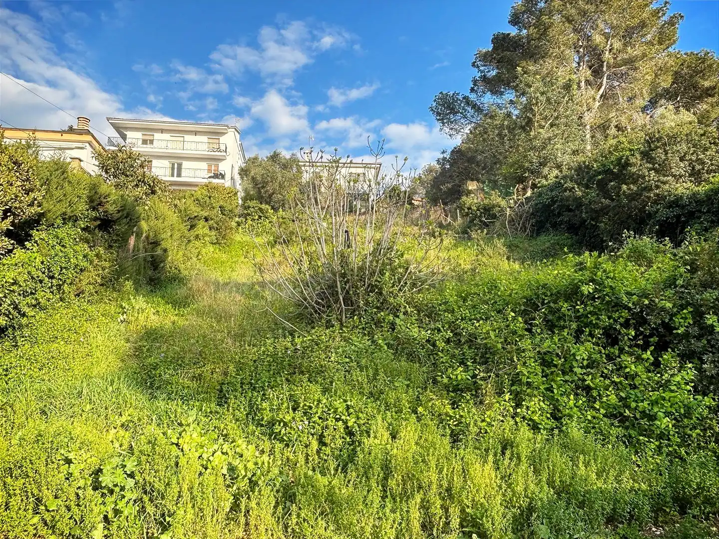 Terreno residencial en venta en Canyelles, imagen 2