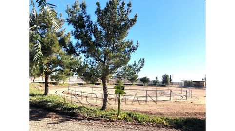 Foto 2 de Terreny en venda a Valladolises y Lo Jurado, Murcia Capital