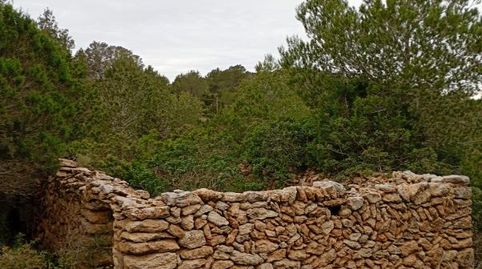 Foto 2 de Finca rústica en venta en Diseminado Berri, Cala Vedella - Cala Tarida, Sant Josep de sa Talaia