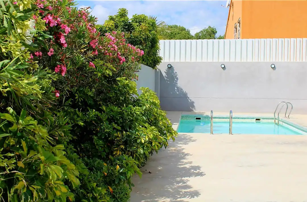Swimming pool of Houses for sale in Mutxamel  with Air Conditioner, Heating and Private garden