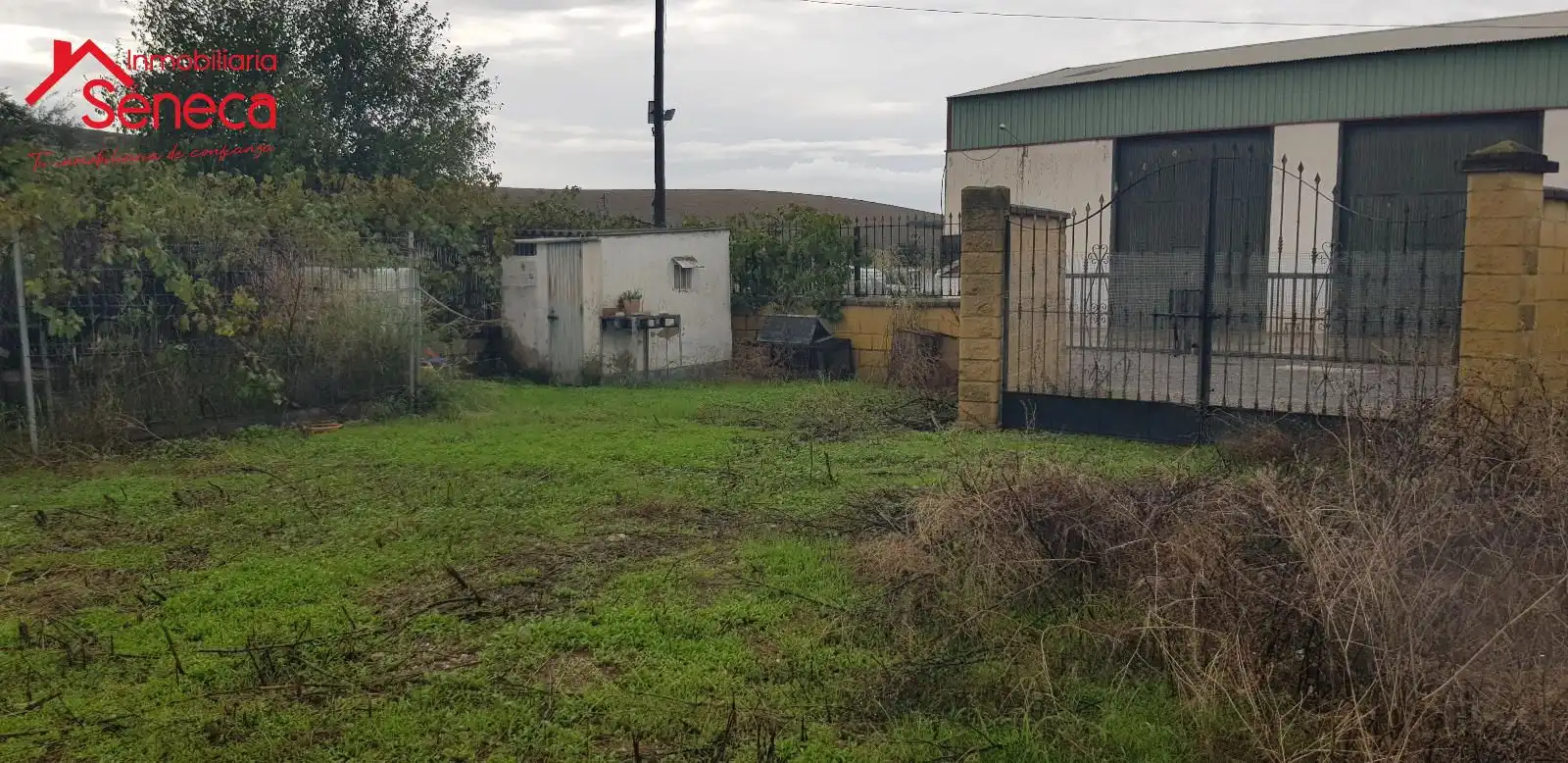 Terreny rústic en venda a MIRALQUIVIR, imagen 5