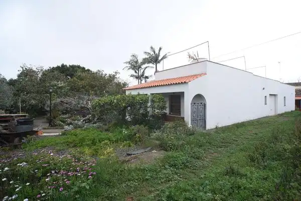 Finca rústica en venda a Calle la Caridad, Tacoronte - Los Naranjeros
