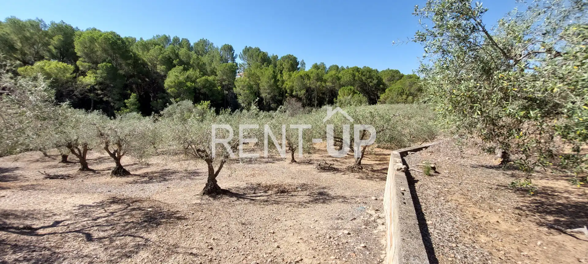 Terreny rústic en venda a Xàtiva, imagen 12