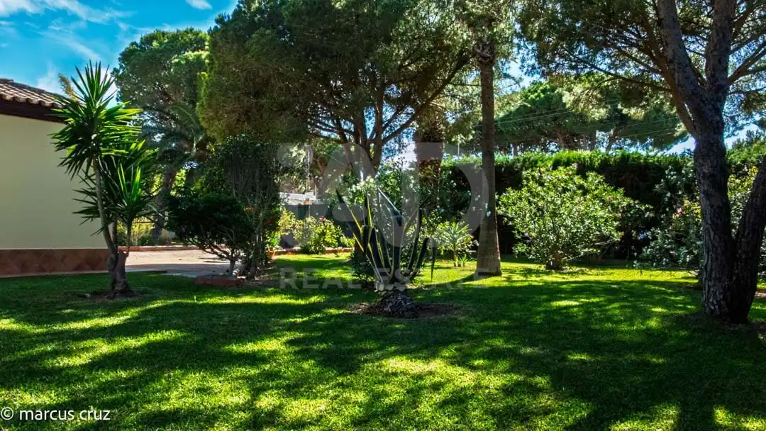 Jardí de Casa o xalet en venda en Chiclana de la Frontera amb Aire condicionat