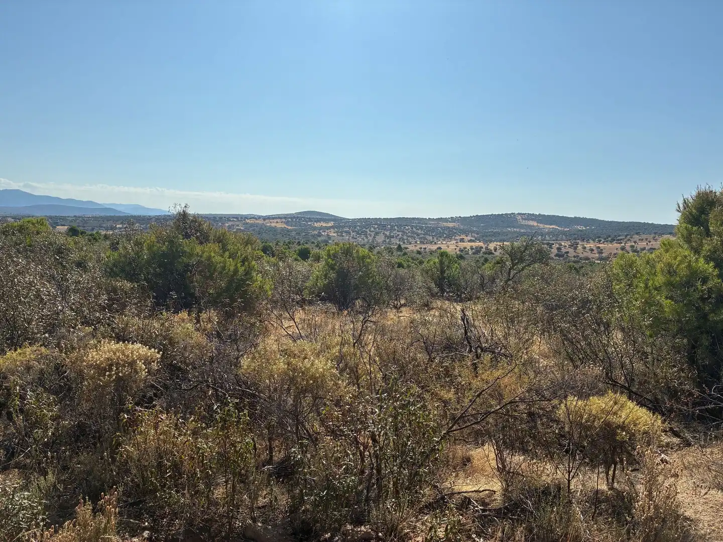 Rural land for sale in Puerto de San Vicente, imagen 3
