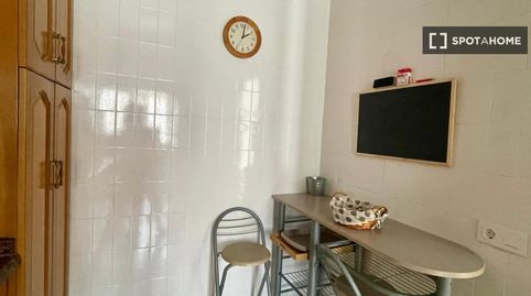 Foto 5 de Habitació a Albufereta, Alicante / Alacant