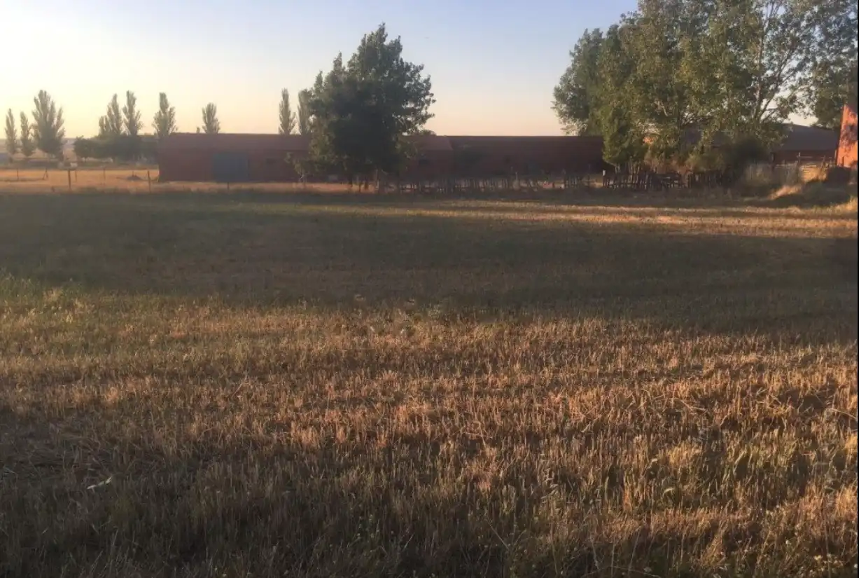 Terreny residencial en venda a Calle Abades