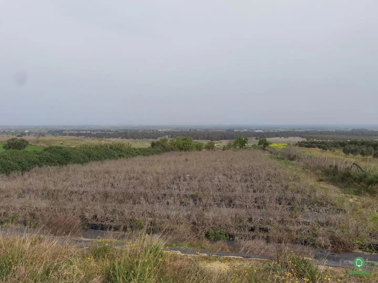 Casa o chalet en venta en Moguer con Amueblado