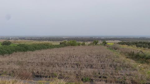 Foto 2 de Casa o xalet en venda a N/a, Moguer, Huelva