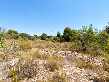 Terreno residenziale in vendita a Los Pinares - La Masia
