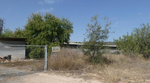 Photo 2 of Industrial buildings to rent in Cabrera, Segorbe, Castellón