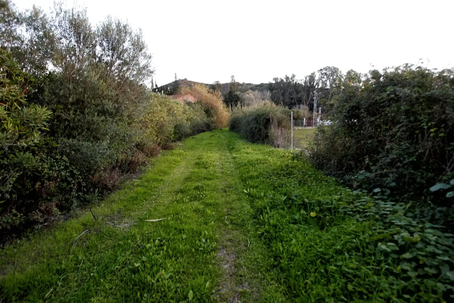 Maison rustique à vendre à San Martín del Tesorillo, imagen 22
