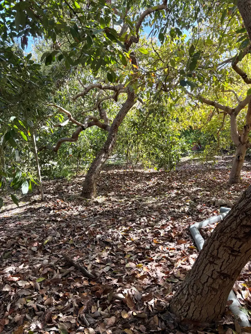 Casa o chalet en venta en Lugar El Mayorazgo, Caserones - La Higuera