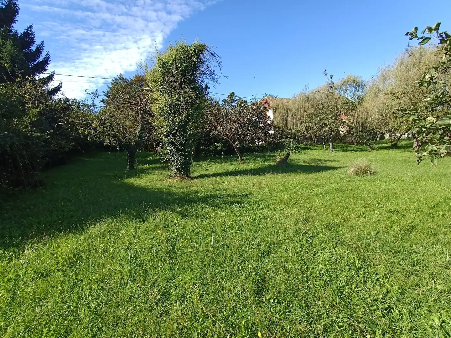 Residential land for sale in Calle Conde de Santa Barbara 31, imagen 25