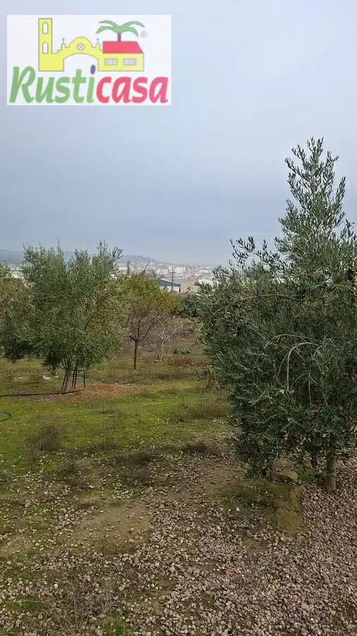 Terreni e lotti in vendita a Sevilleja, imagen 12