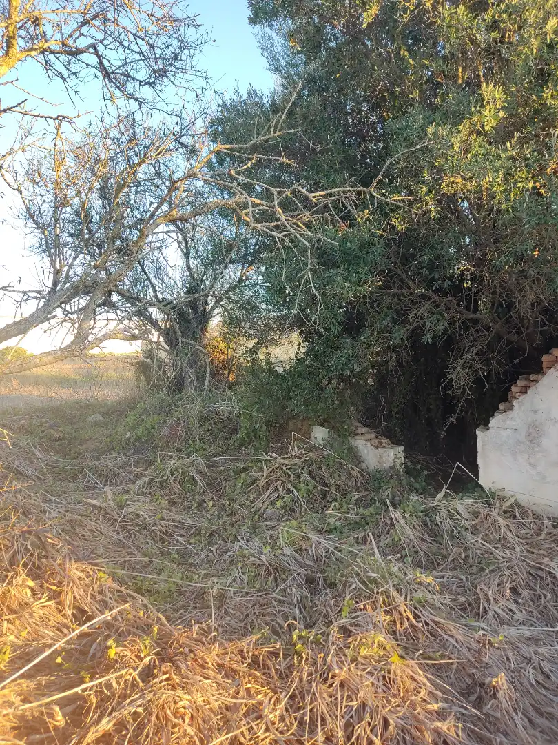 Terreno en venta en Conil de la Frontera