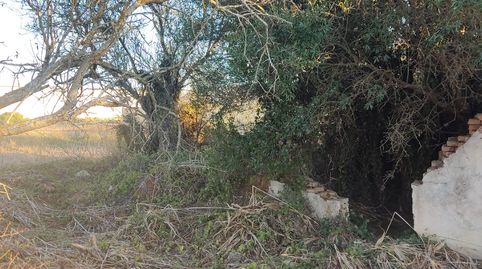 Foto 4 de Terreny en venda a Diseminado Pago Zorro, Roche, Conil de la Frontera