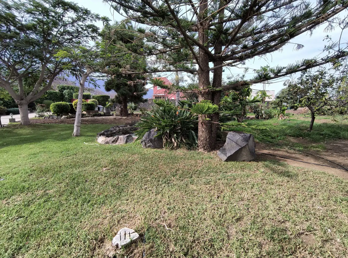 Jardín de Casa o chalet en venta en La Orotava con Jardín privado, Parquet y Terraza