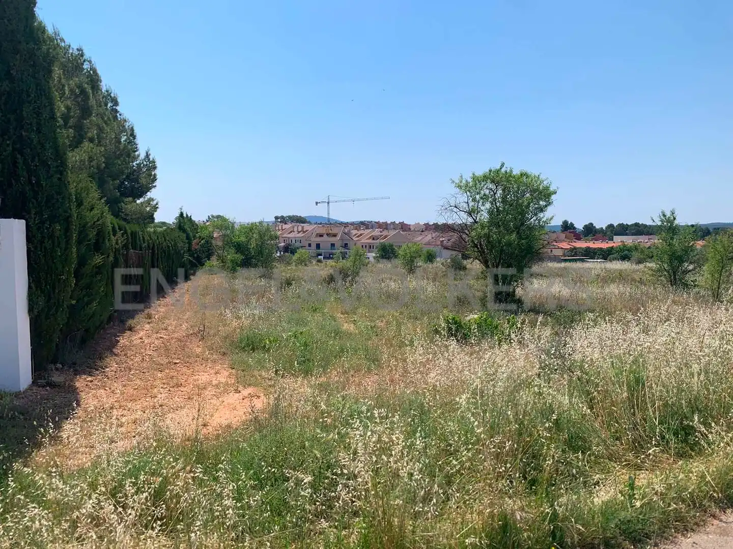 Terreny rústic en venda a Requena, imagen 3