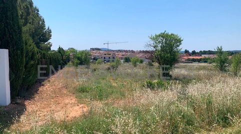 Parcela rústica cerca del casco urbano, inversión a futuro, immagine 3