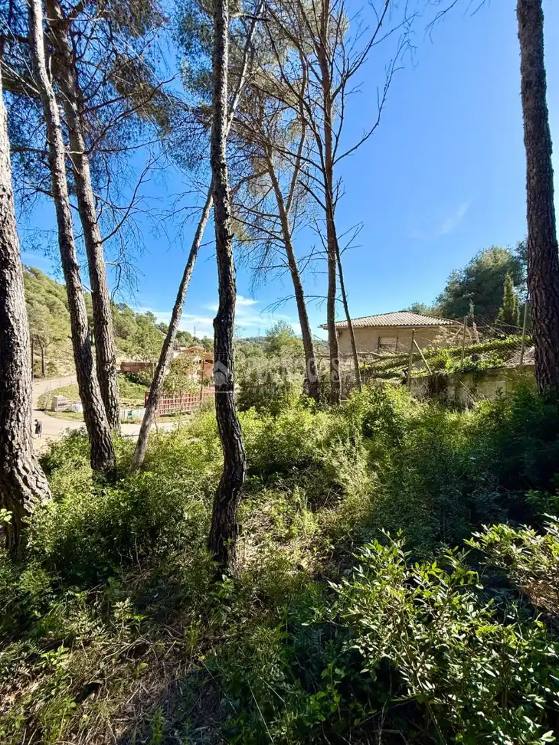 Terreny residencial en venda a Avinguda d'Andalusia, imagen 24