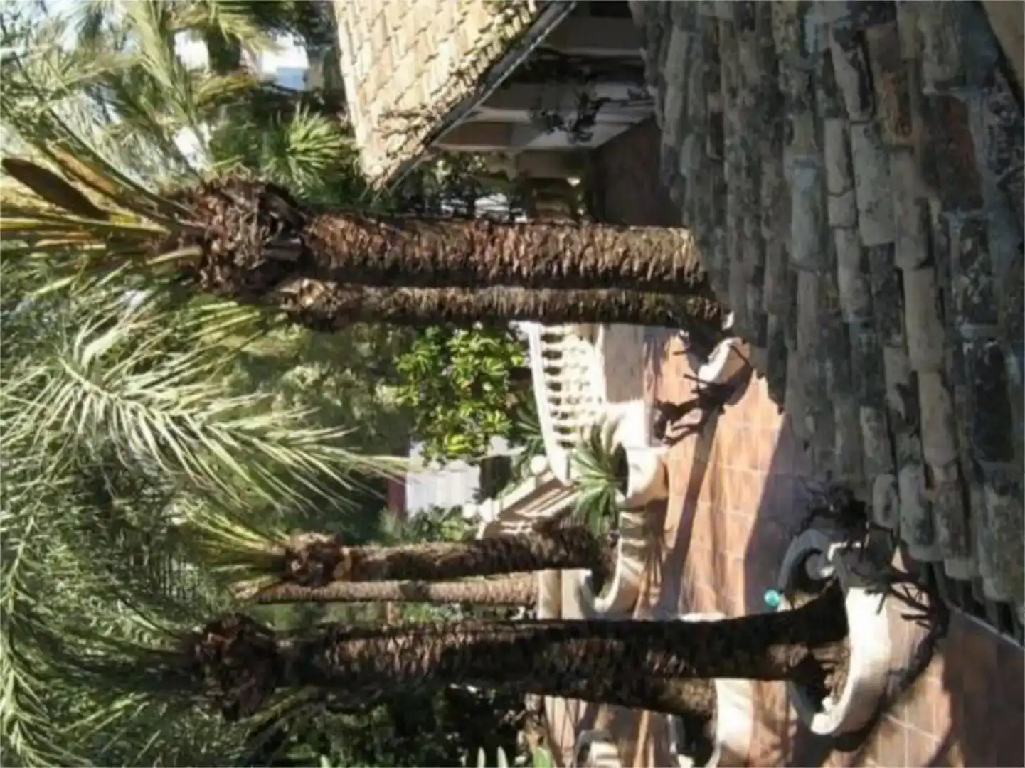 Garten von Geschaftsraum zur Miete in Jávea / Xàbia mit Klimaanlage und Möbliert