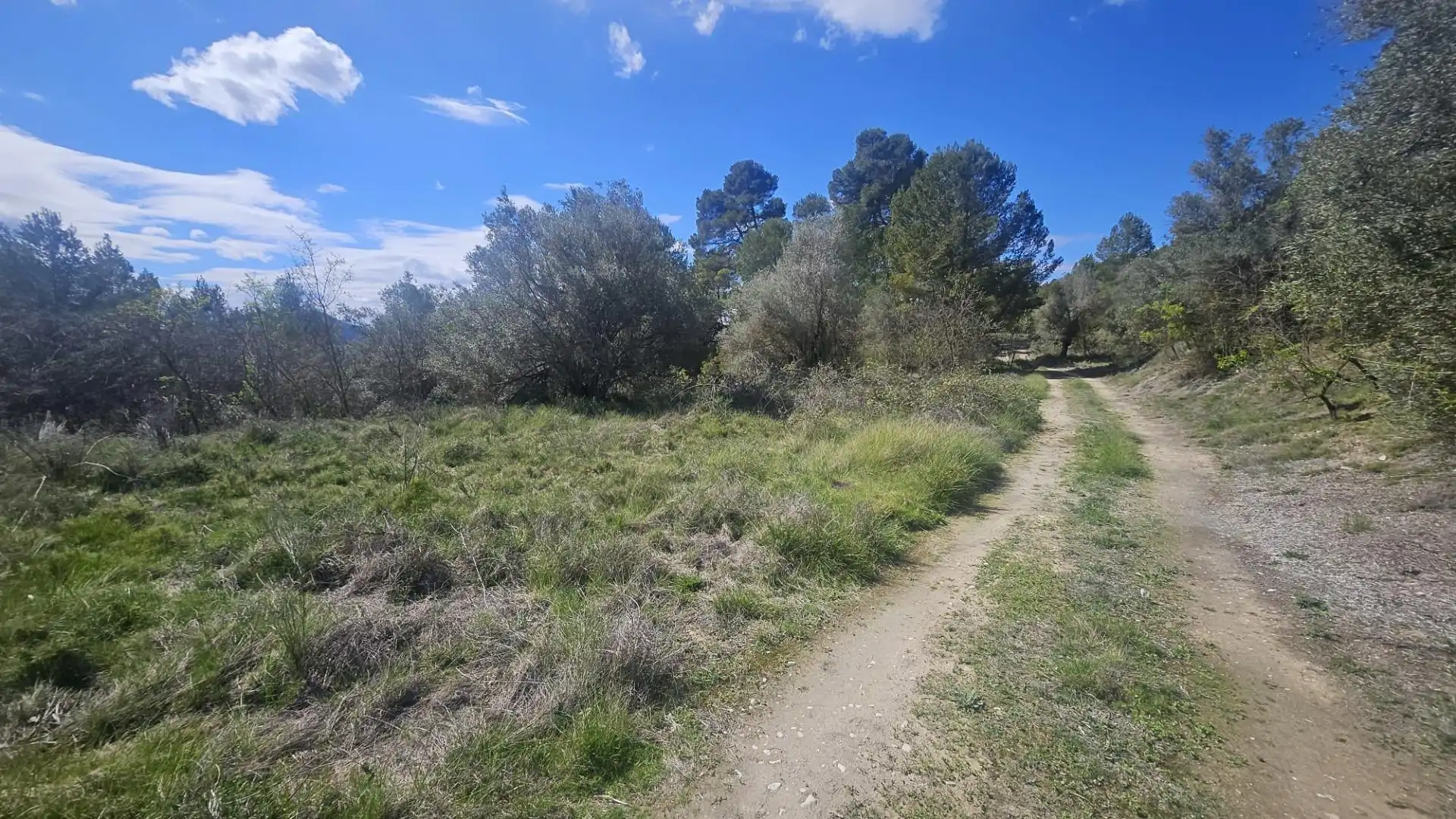 Terrain rustique à vendre à Millena, imagen 13