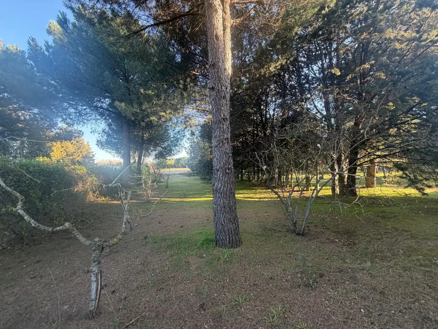 Finca rústica en venta en Aldeamayor de San Martín con Jardín privado y Trastero