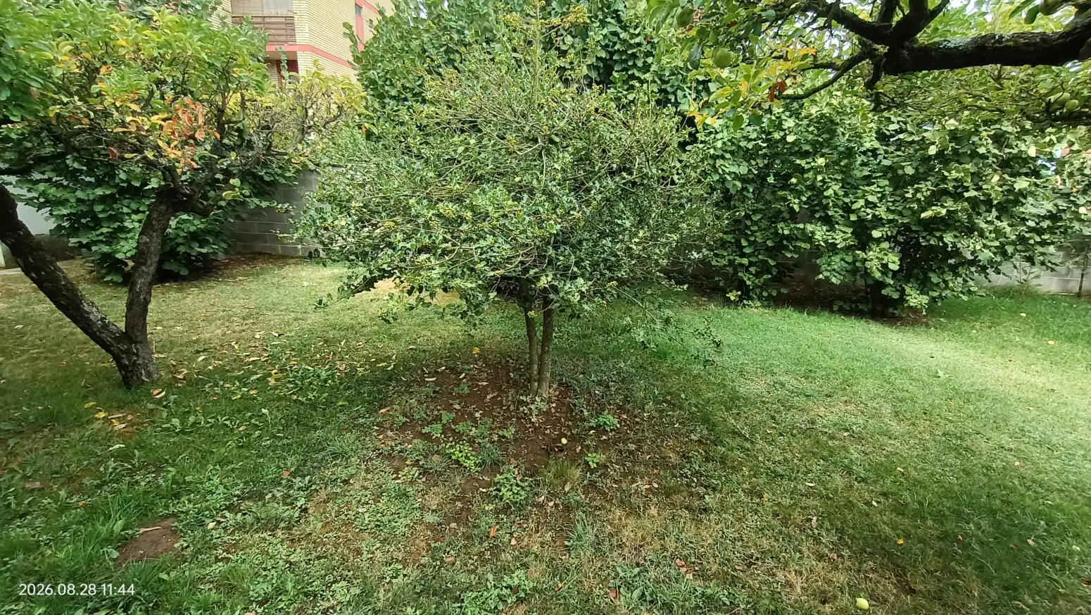 Jardín de Casa o chalet en venta en Carrizo, León