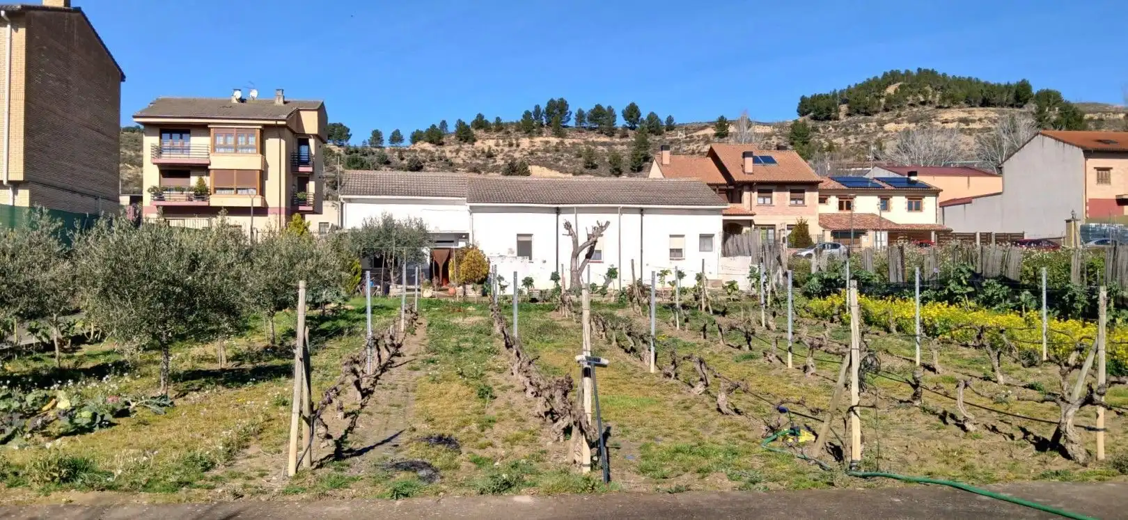 Vista exterior de Casa o chalet en venta en Lapuebla de Labarca con Trastero