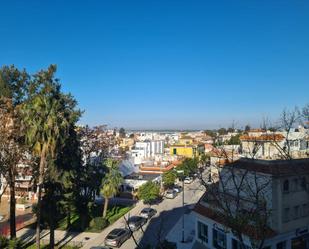 Exterior view of Flat to rent in Sanlúcar de Barrameda  with Terrace and Balcony