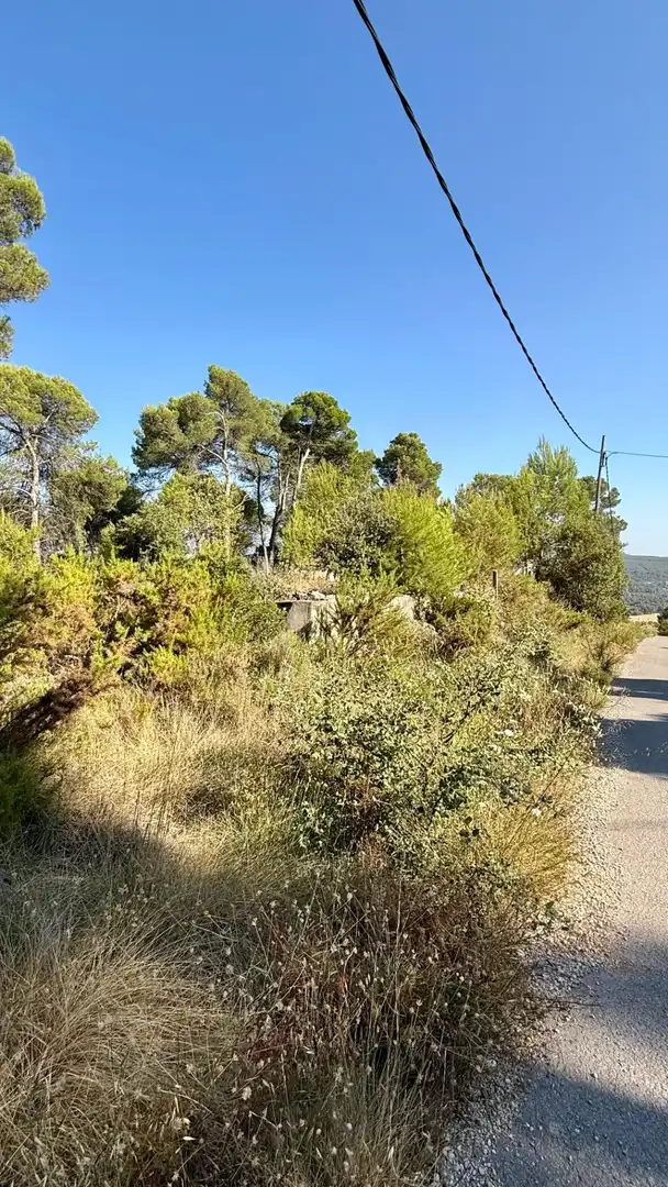 Residential land for sale in Avenida l'Onze de Setembre 22, imagen 13
