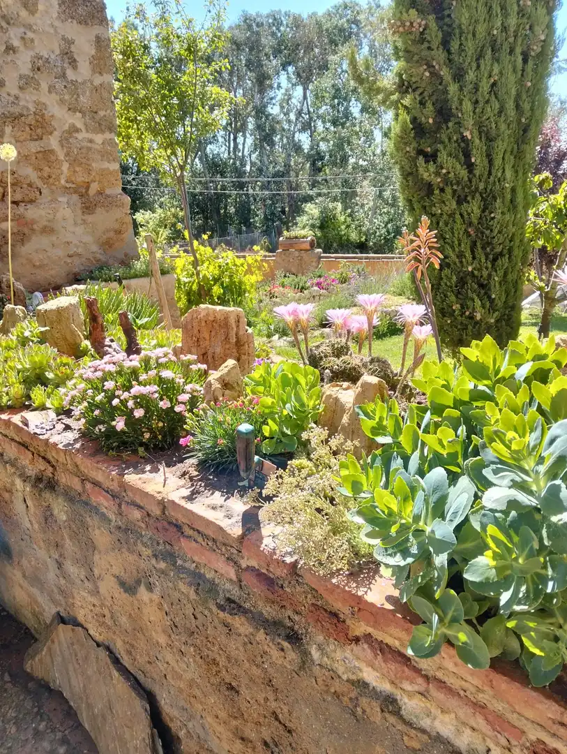 Jardí de Edifici en venda en Valdunquillo
