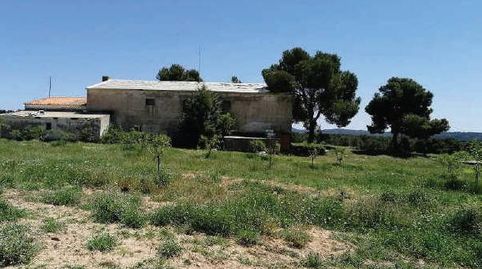 ESPECTACULAR FINCA DE USO RECREATIVO, AGRÍCOLA, GANADERO, immagine 3