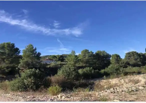 Land for sale in Mogente / Moixent