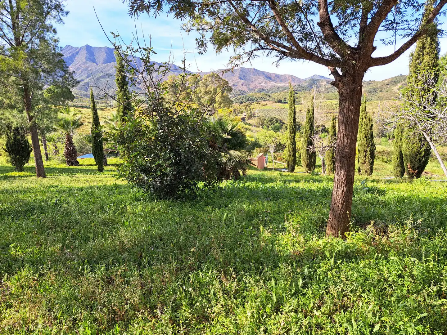 Casa amb terrassa en venda a Valtocado - La Alquería - La Atalaya, imagen 40
